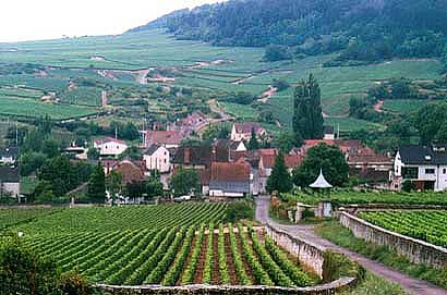 福乐父子默尔索一级酒园克拉斯2007-逸香红酒